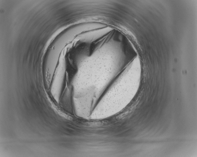 X0000077320792200611171741