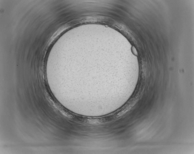 X0000077320794200611171741