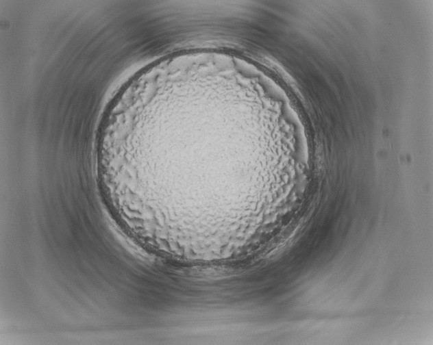 X0000077320795200611171741