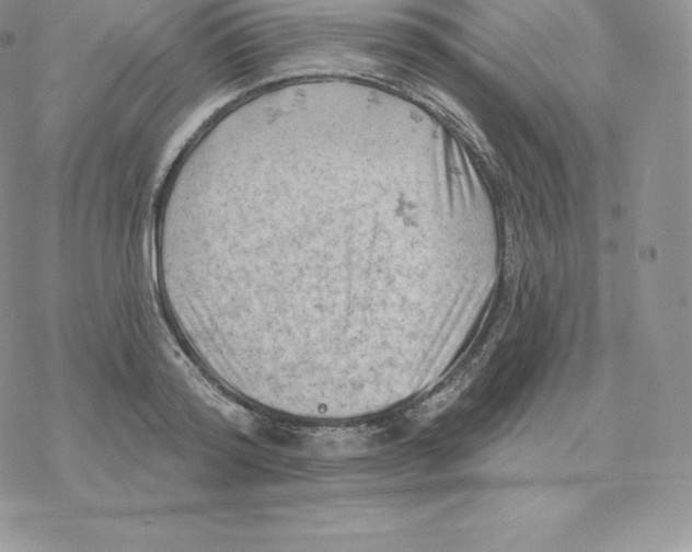 X0000077320796200611171741