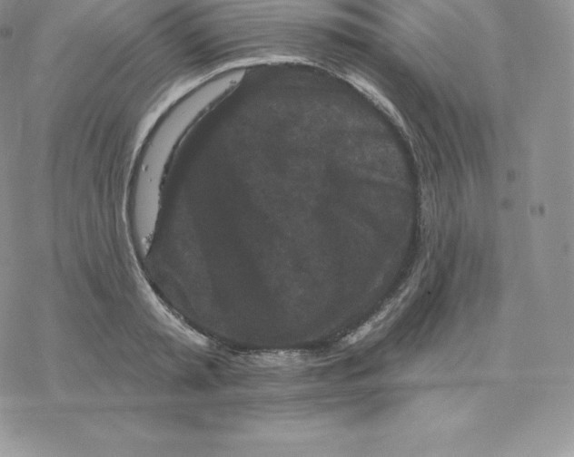 X0000077320797200611171741