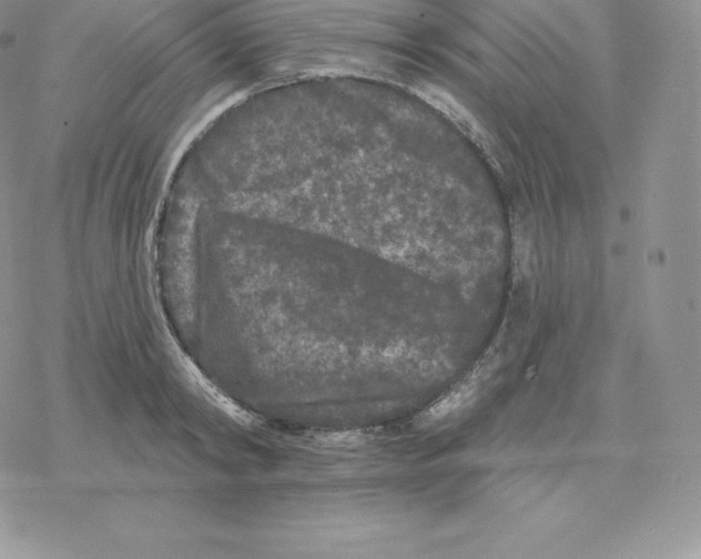 X0000077320798200611171741