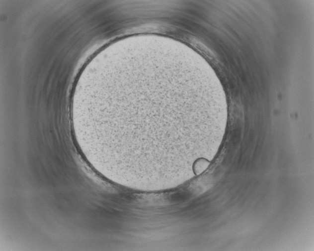 X0000077320800200611171741