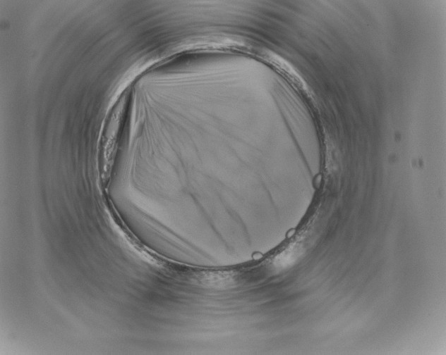 X0000077320802200611171741