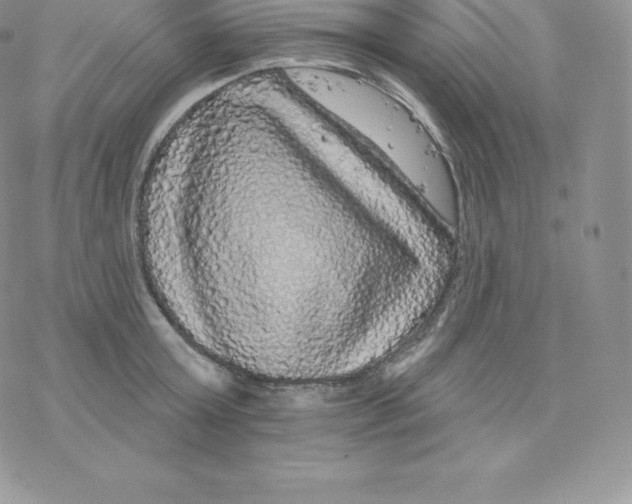 X0000077320803200611171741