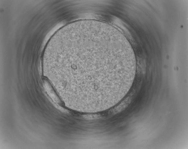 X0000077320804200611171741