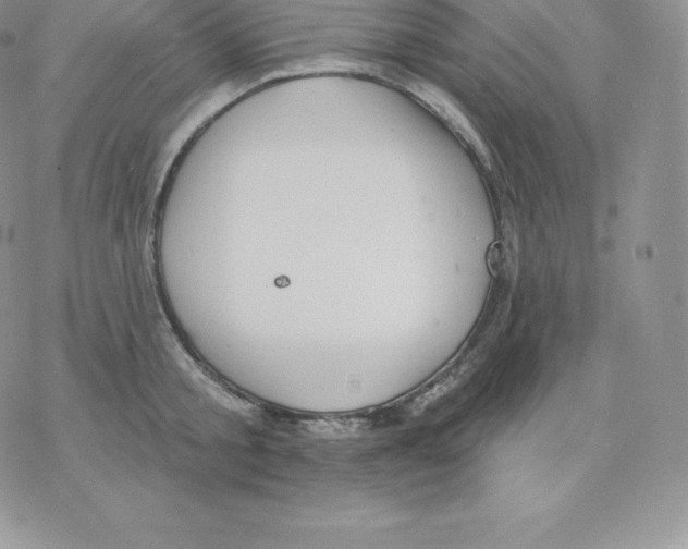 X0000077320805200611171741