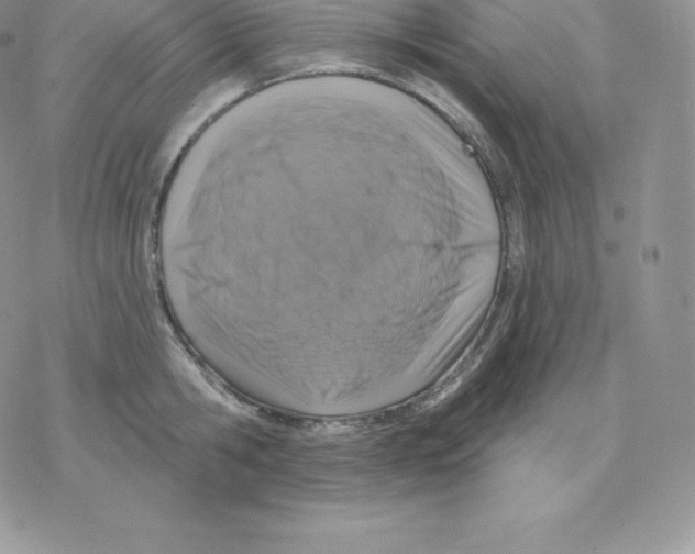 X0000077320806200611171741