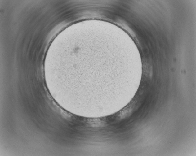 X0000077320807200611171741