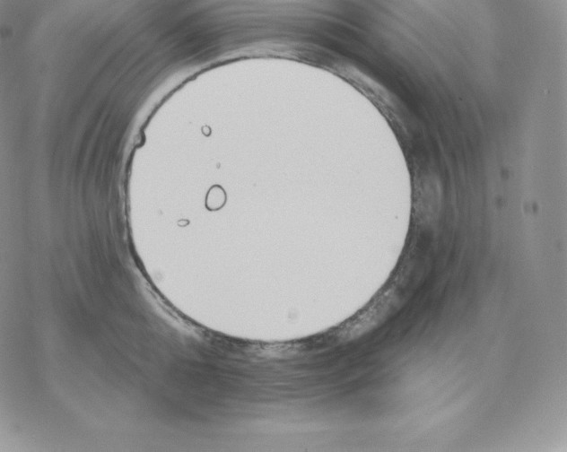 X0000077320808200611171741