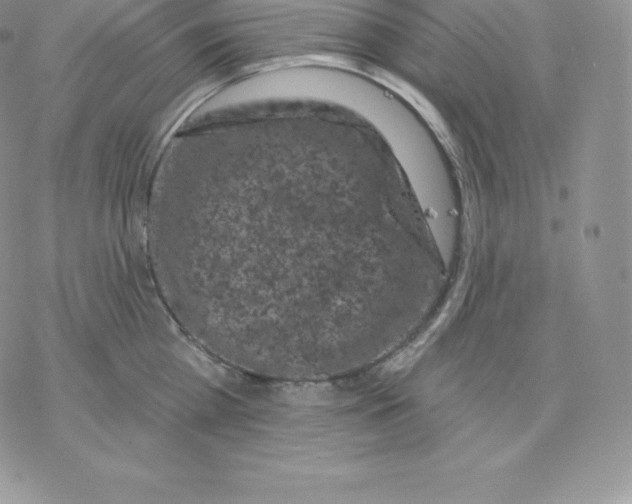 X0000077320809200611171741