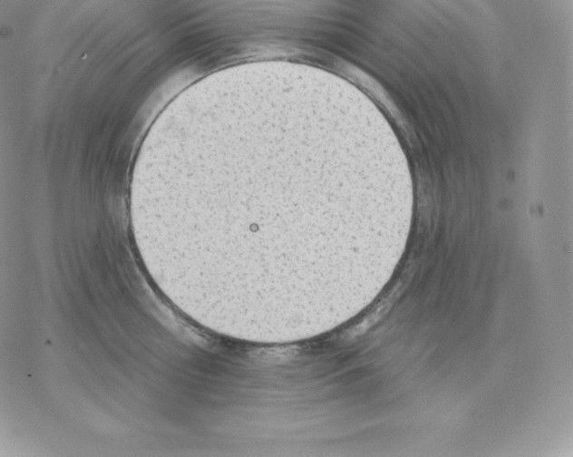 X0000077320810200611171741