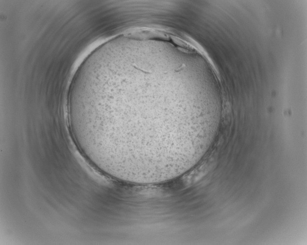 X0000077320811200611171741