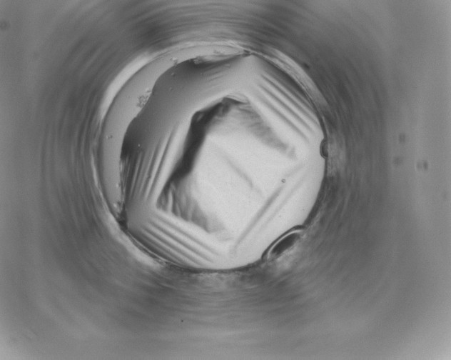 X0000077320812200611171741