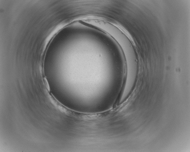 X0000077320813200611171741