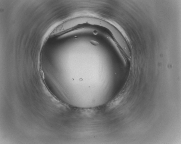 X0000077320815200611171741