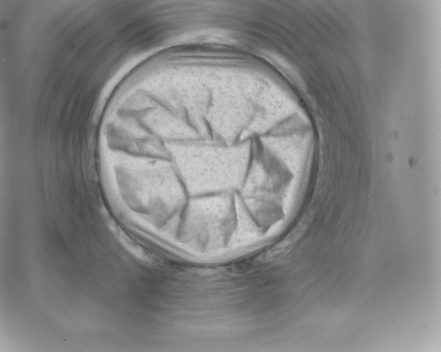 X0000077320816200611171741