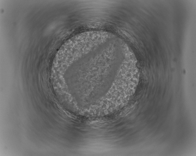 X0000077320817200611171740