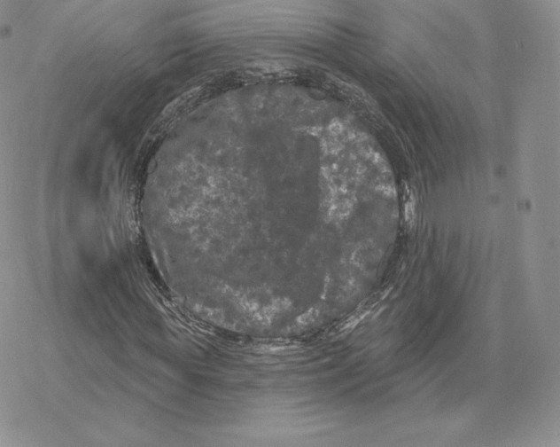 X0000077320819200611171740