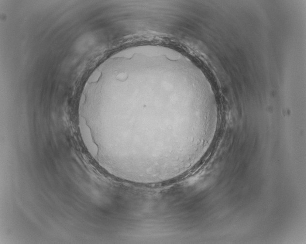 X0000077320820200611171740