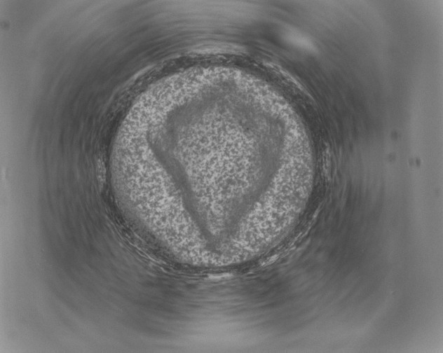 X0000077320821200611171740