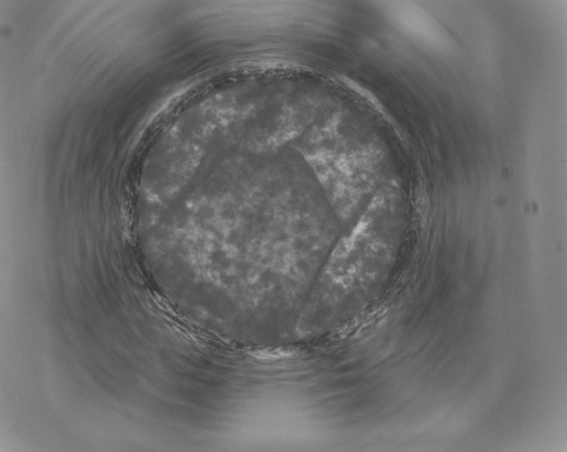 X0000077320823200611171740