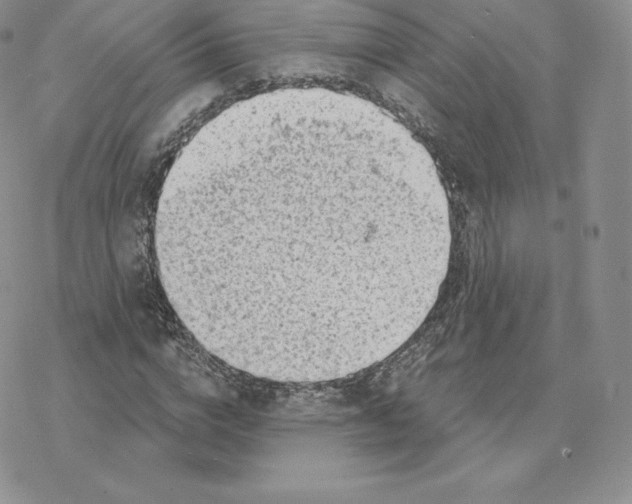 X0000077320824200611171740