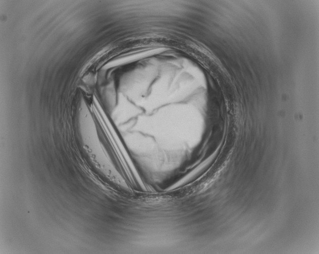 X0000077320826200611171740