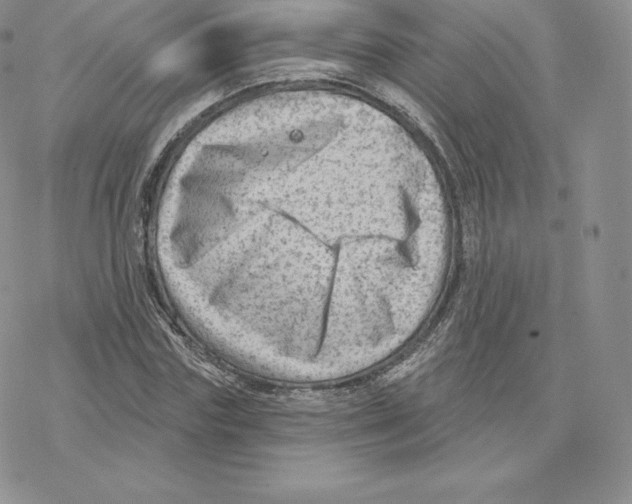 X0000077320827200611171740