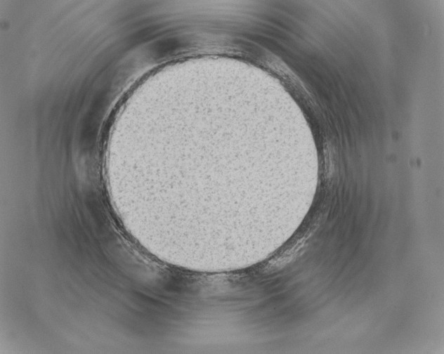 X0000077320828200611171740