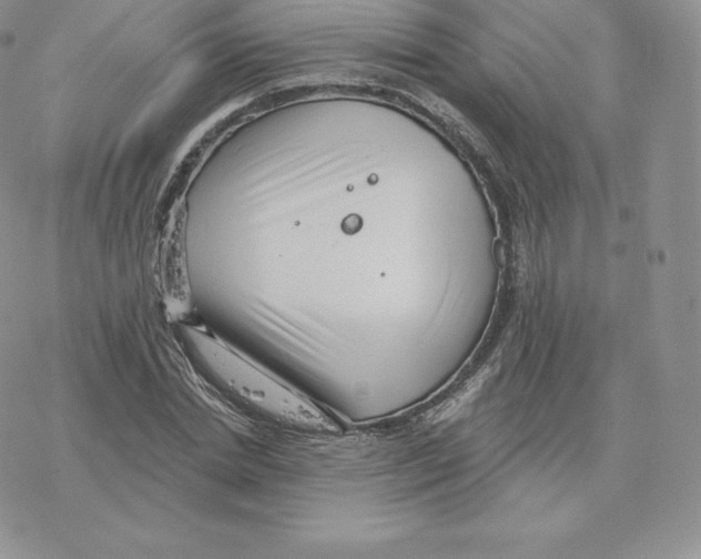 X0000077320830200611171740