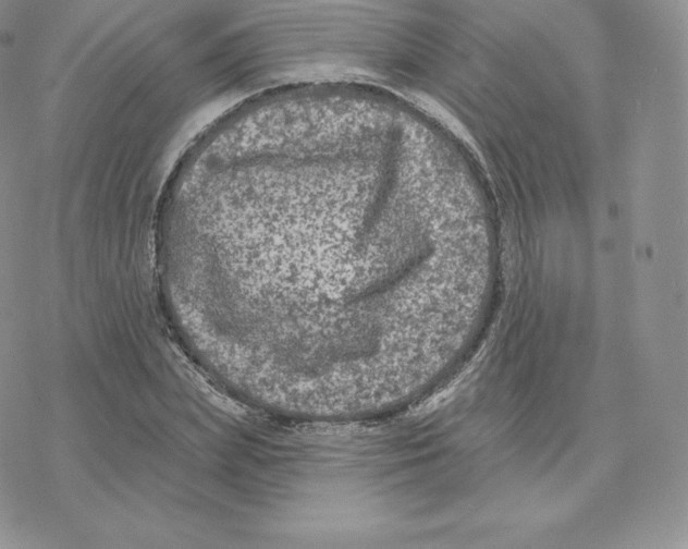 X0000077320831200611171740