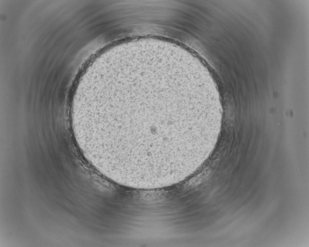 X0000077320832200611171740