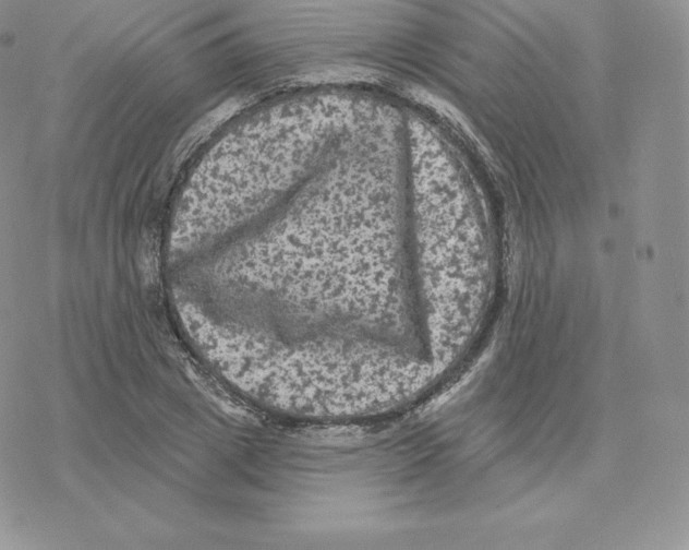 X0000077320833200611171740