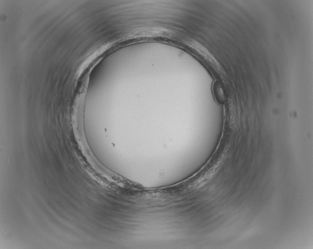 X0000077320834200611171740