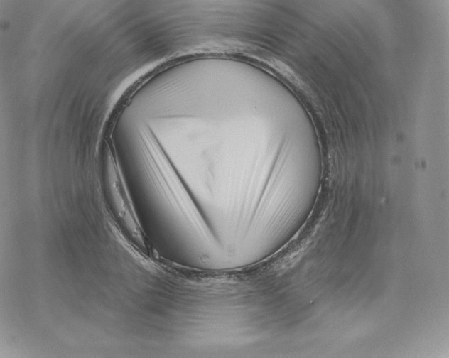 X0000077320838200611171740