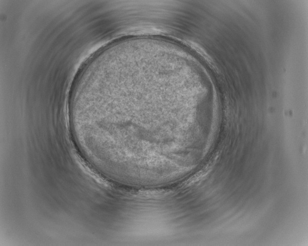 X0000077320840200611171740