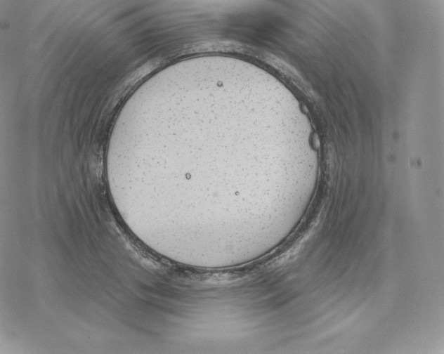 X0000077320841200611171740