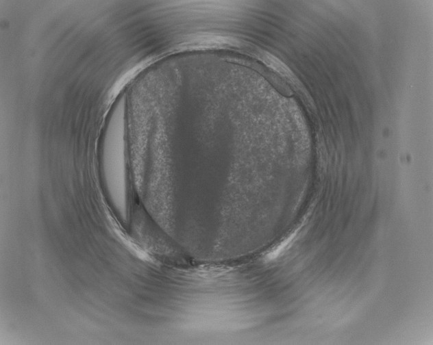 X0000077320842200611171740