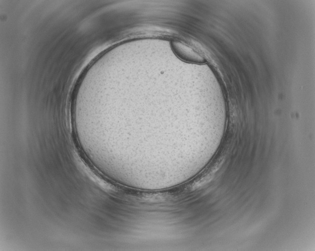 X0000077320843200611171740