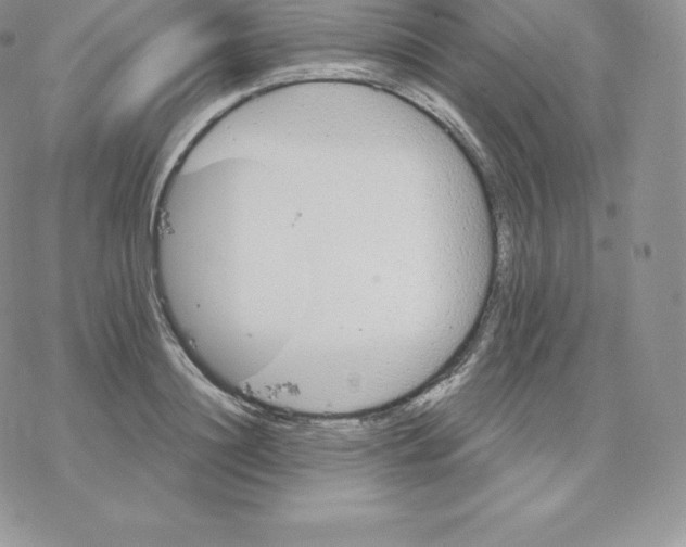 X0000077320844200611171740