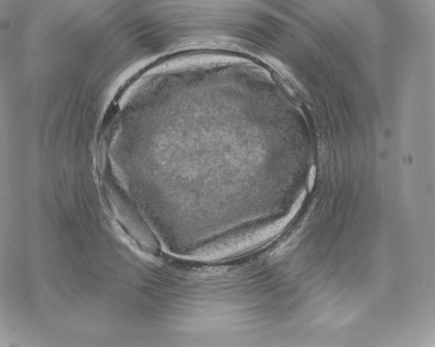 X0000077320846200611171740