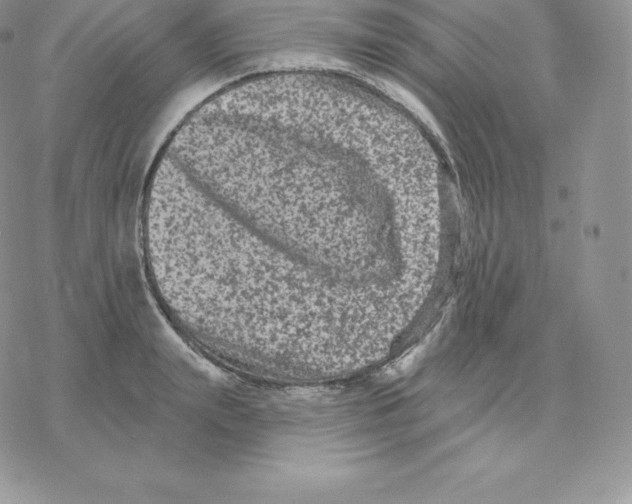 X0000077320847200611171740