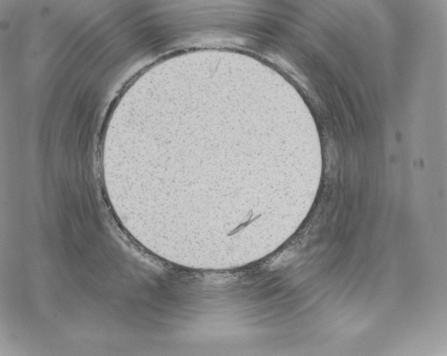 X0000077320848200611171740