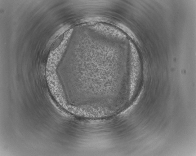 X0000077320849200611171740