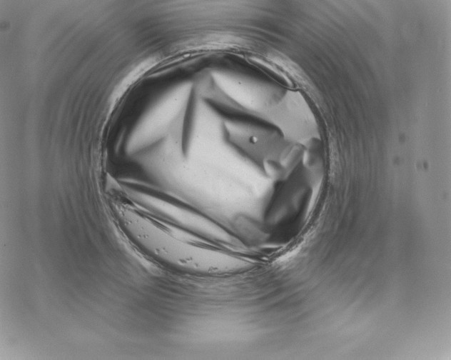 X0000077320850200611171740