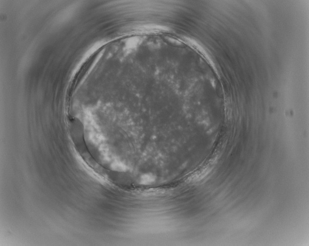 X0000077320851200611171740