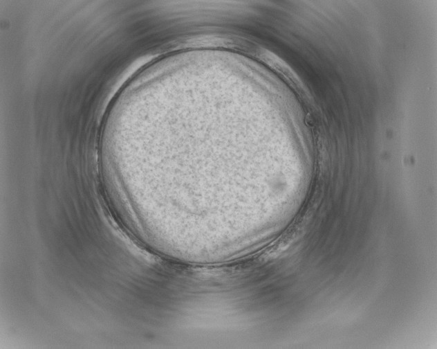 X0000077320852200611171740