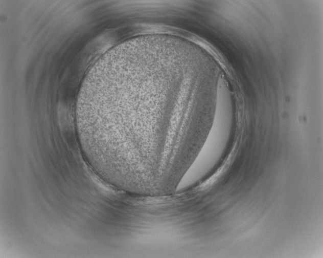 X0000077320857200611171741