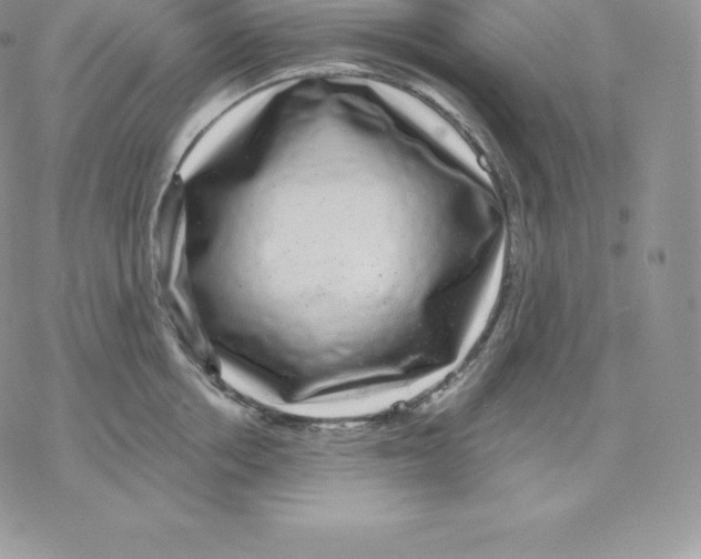 X0000077320858200611171741